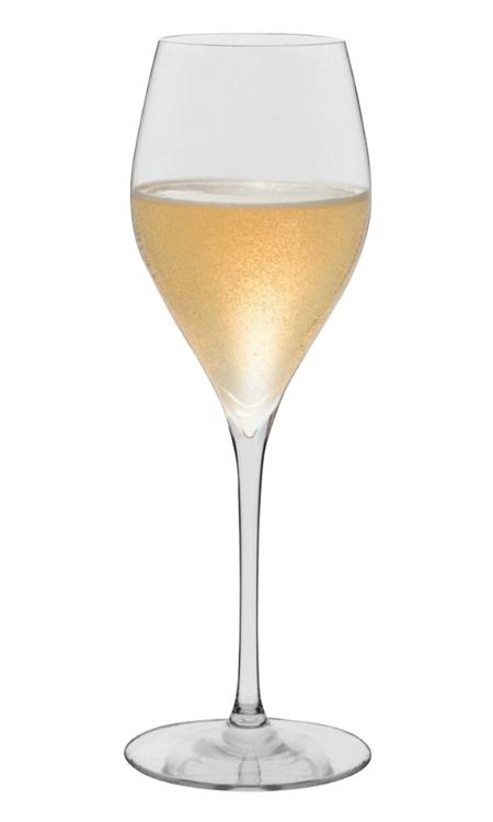RONA Champagne 香檳杯 290ml