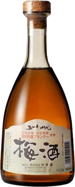 Hayashi Wines 51 BrandyVSOP Umeshu 500ml