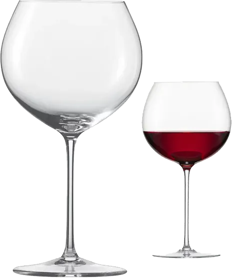 Zwiesel Glas蔡司 Enoteca系列 勃根地紅酒杯 750ml(單入禮盒)